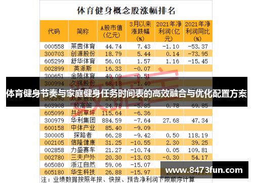 体育健身节奏与家庭健身任务时间表的高效融合与优化配置方案